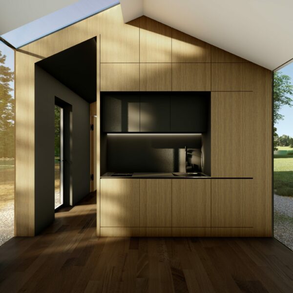 Testa renderi virtuve_5 - Interior living room